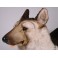 Mate German Shepherd Dog Stuffed Plush Animal Display Prop