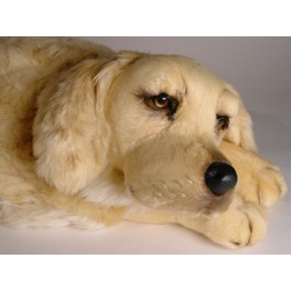 http://animalprops.com/1038-thickbox_default/roya-golden-retriever-dog-stuffed-plush-animal-display-prop.jpg