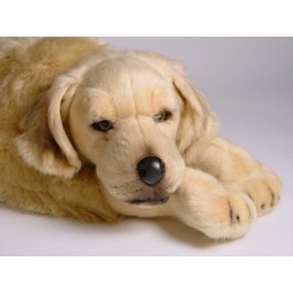 http://animalprops.com/1041-thickbox_default/walden-golden-retriever-dog-stuffed-plush-animal-display-prop.jpg