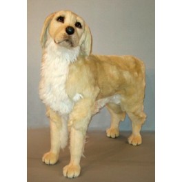 http://animalprops.com/1047-thickbox_default/paddington-golden-retriever-dog-stuffed-plush-animal-display-prop.jpg