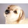 Buddy Golden Retriever Dog Stuffed Plush Animal Display Prop