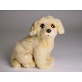 http://animalprops.com/1051-thickbox_default/cali-golden-retriever-dog-stuffed-plush-animal-display-prop.jpg