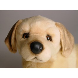 http://animalprops.com/1057-thickbox_default/conan-golden-retriever-dog-stuffed-plush-animal-display-prop.jpg