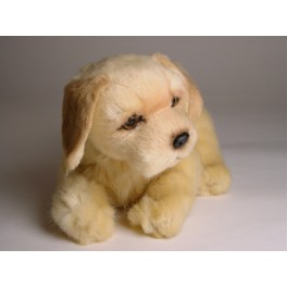 http://animalprops.com/1060-thickbox_default/tucker-golden-retriever-dog-stuffed-plush-animal-display-prop.jpg