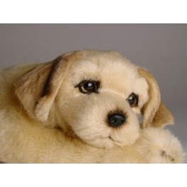 http://animalprops.com/1063-thickbox_default/cheesburger-golden-retriever-dog-stuffed-plush-animal-display-prop.jpg