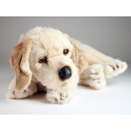 http://animalprops.com/1072-thickbox_default/roxie-golden-retriever-dog-stuffed-plush-animal-display-prop.jpg