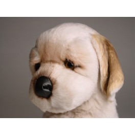 http://animalprops.com/1075-thickbox_default/ford-golden-retriever-dog-stuffed-plush-animal-display-prop.jpg
