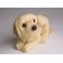 Bluff Golden Retriever Dog Stuffed Plush Animal Display Prop