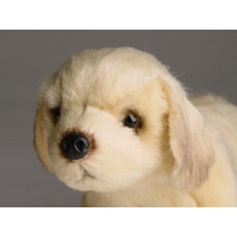 http://animalprops.com/1090-thickbox_default/bojangles-golden-retriever-dog-stuffed-plush-animal-display-prop.jpg