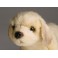 Bojangles Golden Retriever Dog Stuffed Plush Animal Display Prop