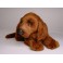 Alex Irish Setter Dog Stuffed Plush Animal Display Prop
