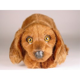http://animalprops.com/1105-thickbox_default/paprika-irish-setter-dog-stuffed-plush-animal-display-prop.jpg