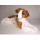 George Jack Russell Terrier Dog Stuffed Plush Animal Display Prop