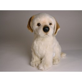 http://animalprops.com/1122-thickbox_default/amber-yellow-labrador-retriever-dog-stuffed-plush-animal-display-prop.jpg