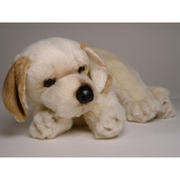 http://animalprops.com/1125-thickbox_default/tuppence-yellow-labrador-retriever-dog-stuffed-plush-animal-display-prop.jpg
