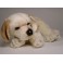 Tuppence Yellow Labrador Retriever Dog Stuffed Plush Animal Display Prop