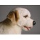 Jasper Yellow Labrador Retriever Dog Stuffed Plush Animal Display Prop
