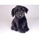 Flo Black Labrador Retriever Dog Stuffed Plush Animal Display Prop