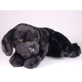 http://animalprops.com/1137-thickbox_default/lucky-black-labrador-retriever-dog-stuffed-plush-animal-display-prop.jpg