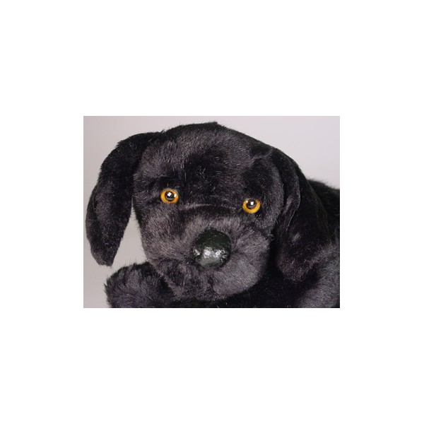 labrador retriever plush