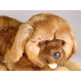 http://animalprops.com/1149-thickbox_default/nutmeg-leonberger-dog-stuffed-plush-animal-display-prop.jpg
