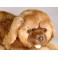 Nutmeg Leonberger Dog Stuffed Plush Animal Display Prop