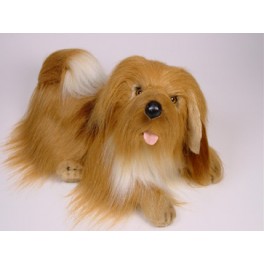 stuffed lhasa apso dog