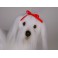 Samantha Maltese Dog Stuffed Plush Animal Display Prop