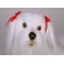 Lacey Maltese Dog Stuffed Plush Animal Display Prop