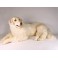 Janie Maremma Sheepdog Dog Stuffed Plush Animal Display Prop