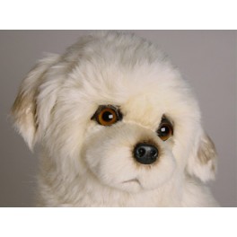http://animalprops.com/1173-thickbox_default/belle-maremma-sheepdog-dog-stuffed-plush-animal-display-prop.jpg