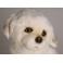 Belle Maremma Sheepdog Dog Stuffed Plush Animal Display Prop
