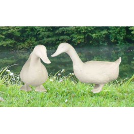 http://animalprops.com/118-thickbox_default/huey-dewey-decorative-duck-statues.jpg