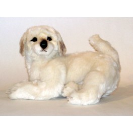 http://animalprops.com/1182-thickbox_default/benny-maremma-sheepdog-dog-stuffed-plush-animal-display-prop.jpg