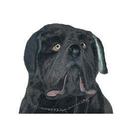 http://animalprops.com/1184-thickbox_default/fang-neapolitan-mastiff-dog-stuffed-plush-animal-display-prop.jpg