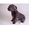 Alan Neapolitan Mastiff Dog Stuffed Plush Animal Display Prop