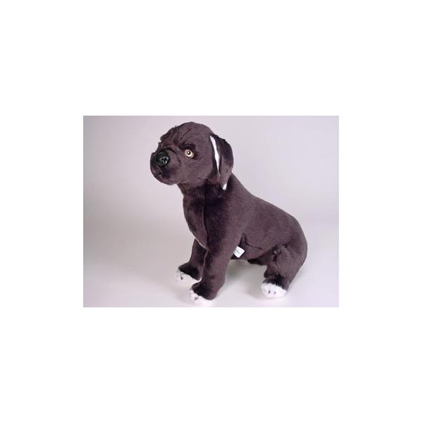 plush mastiff dog