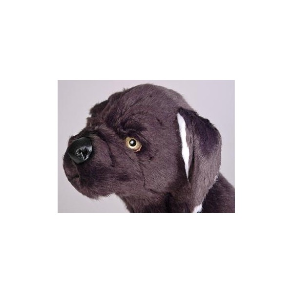 plush mastiff dog