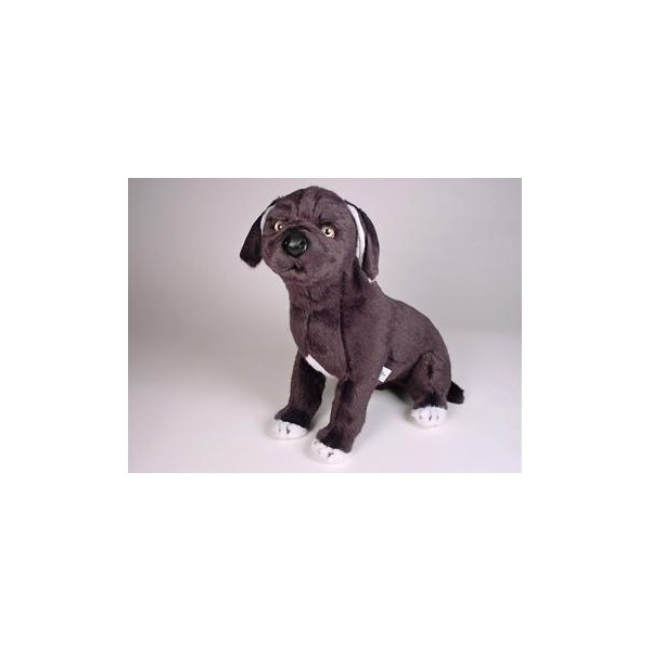 plush mastiff dog