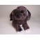 Pansy Neapolitan Mastiff Dog Stuffed Plush Animal Display Prop