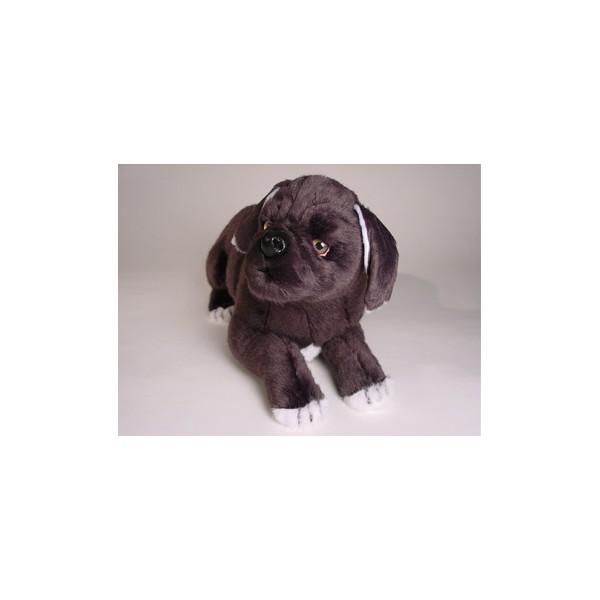 italian mastiff stuffed animal