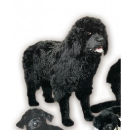 newfoundland dog stuffed animal