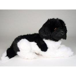 http://animalprops.com/1194-thickbox_default/carlo-newfoundland-dog-stuffed-plush-animal-display-prop.jpg