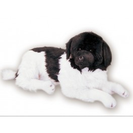 http://animalprops.com/1197-thickbox_default/rigel-newfoundland-dog-stuffed-plush-animal-display-prop.jpg