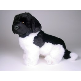 http://animalprops.com/1198-thickbox_default/brumus-newfoundland-dog-stuffed-plush-animal-display-prop.jpg