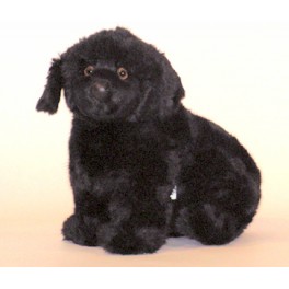 http://animalprops.com/1201-thickbox_default/gander-newfoundland-dog-stuffed-plush-animal-display-prop.jpg