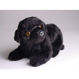 http://animalprops.com/1202-thickbox_default/boo-newfoundland-dog-stuffed-plush-animal-display-prop.jpg