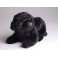 Boo Newfoundland Dog Stuffed Plush Animal Display Prop