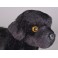 Faithful Newfoundland Dog Stuffed Plush Animal Display Prop