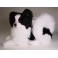 Marie Papillon Dog Stuffed Plush Animal Display Prop